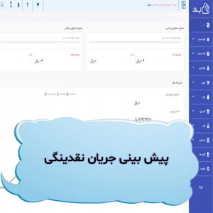 تصویر پیش بینی نقدینگی